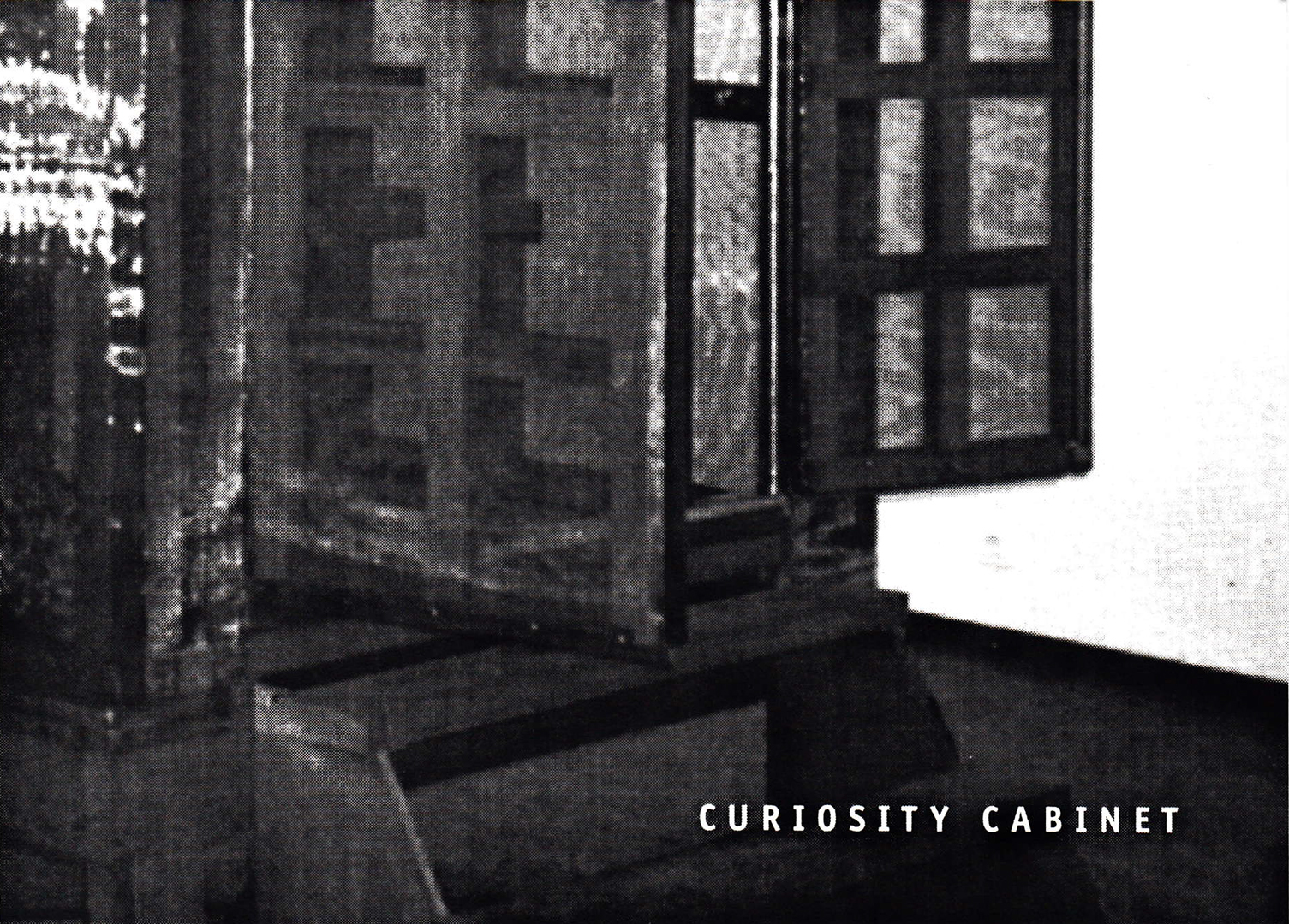 ©, Catherine Richards, Curiosity Cabinet at the End of the Millenium