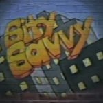 1990 Chadwick Stredney Sity Savvy