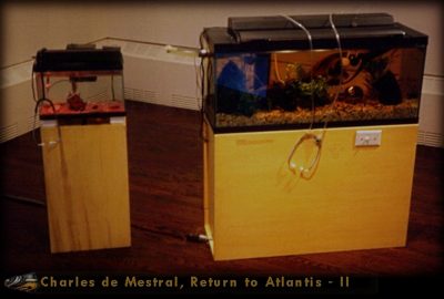 1995 Mestral Return to Atlantis II