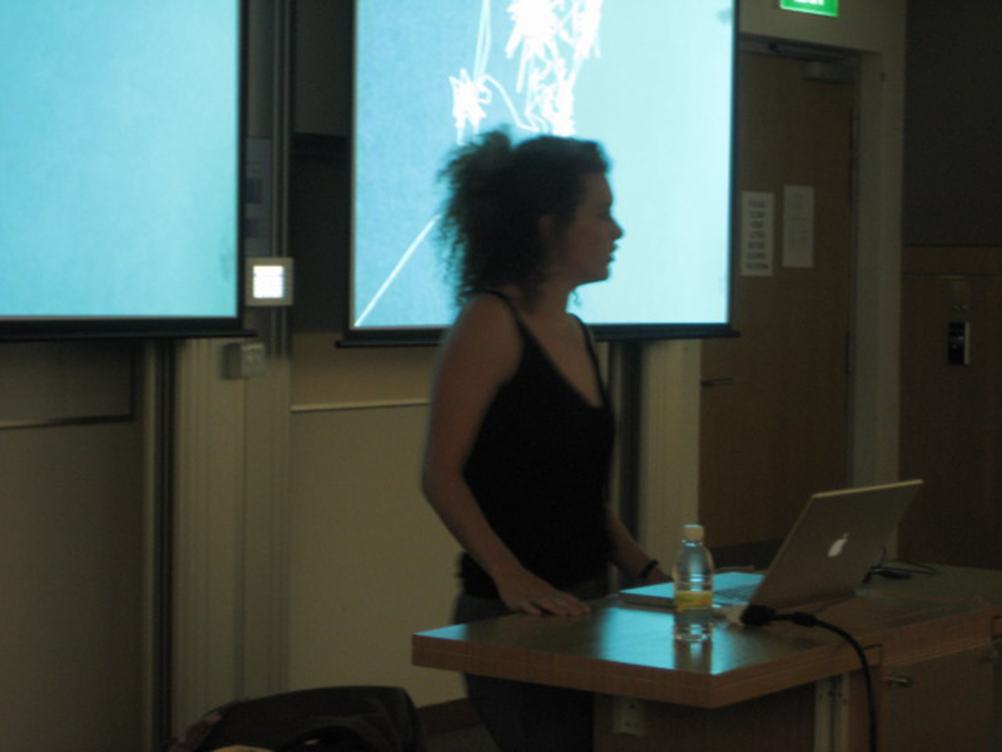 ©ISEA2008: 14th International Symposium on Electronic Art, Yolande Harris, Sun Run Sun: experiencing sonic navigations