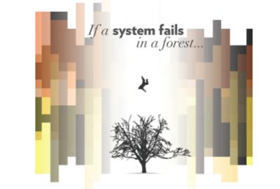 2013 Brown Leimbach If a system fails in a forest…