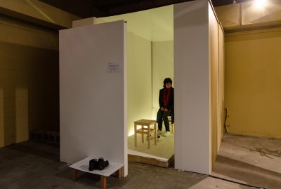 The Trans-Emotion Room (2013)