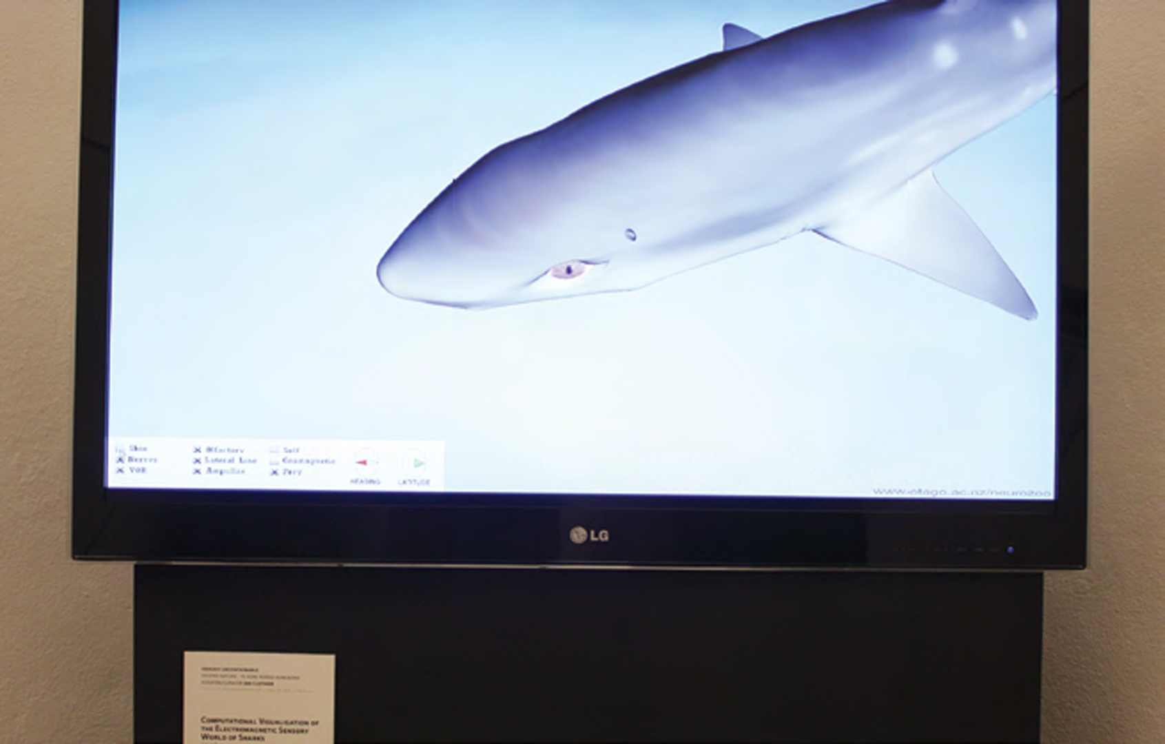 ©, Mike Paulin, Computational Visualization of the Electromagnetic Sensory World of Sharks
