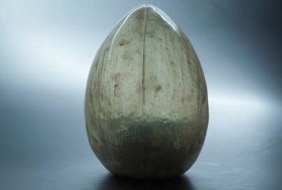 2020 Barotti The Egg