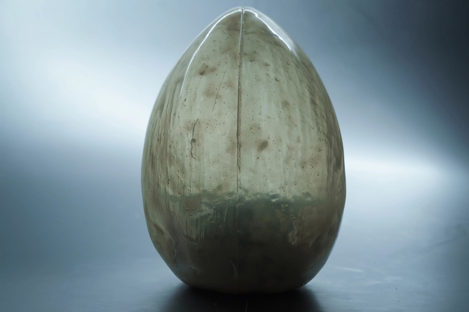 ©, Marco Barotti, The Egg