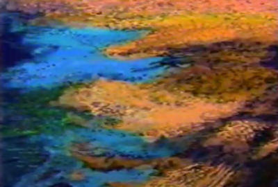 1988_Artist-Unknown_Pond (caption Video still)