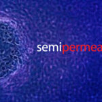 2013 Catts semipermeable(+)